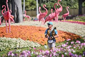 BIB: 
                            <button type="button" onclick="openModal(27793230)" class="btn btn-primary btn-sm float-right btn-popup" data-toggle="modal" data-target=".modal-high-quality">
                        <i class="fas fa-shopping-cart"></i> Add to Cart
                    </button>
                                            <button type="button" onclick="isThisMe(27793230, true)" class="btn btn-success btn-sm float-right btn-popup btn-isme hidden" data-toggle="tooltip" data-placement="bottom" title="นี่คือรูปของคุณใช่ไหม คลิกที่นี่เพื่อเอาเข้าอัลบั้ม">
                        <i class="fas fa-plus"></i> Add to album
                    </button>
                    <button type="button" onclick="isThisMe(27793230, false)" class="btn btn-warning btn-sm float-right btn-popup btn-isnotme hidden">
                        <i class="fas fa-ban"></i> Remove from album
                    </button>